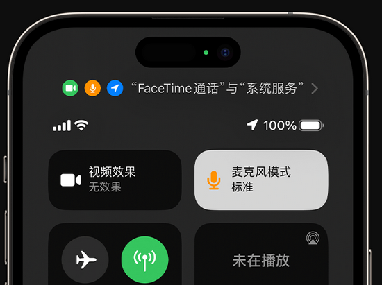 蒙城苹果授权维修网点分享iPhone在通话时让你的声音更清晰 