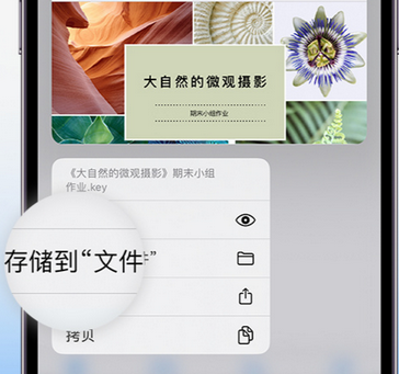 蒙城apple维修中心分享iPhone文件应用中存储和找到下载文件