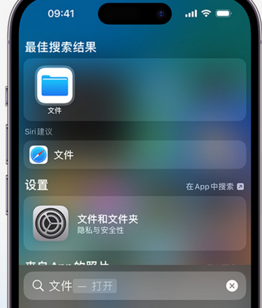 蒙城apple维修中心分享iPhone文件应用中存储和找到下载文件 