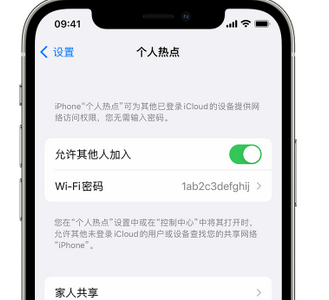 蒙城apple服务站点分享iPhone上个人热点丢失了怎么办