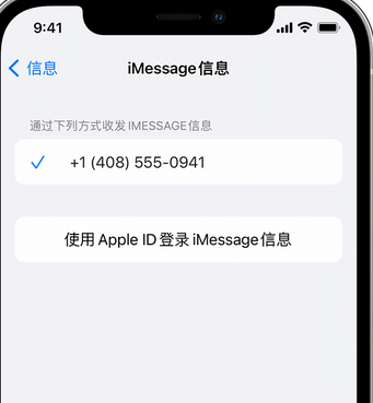 蒙城apple维修iPhone上无法正常发送iMessage信息 