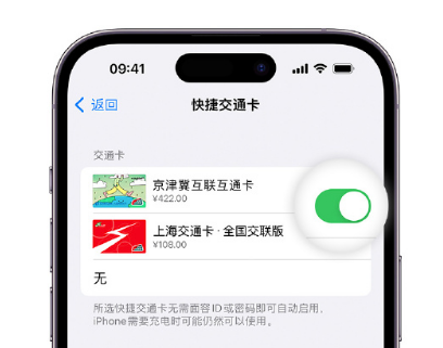 蒙城apple维修点分享iPhone上更换Apple Pay快捷交通卡手绘卡面 