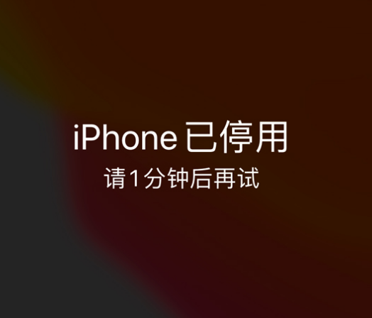 蒙城苹果手机维修分享:iPhone 显示“不可用”或“已停用”怎么办？还能保留数据吗？ 