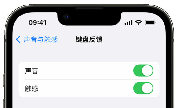 蒙城苹果手机维修分享iPhone 14触感键盘使用方法 