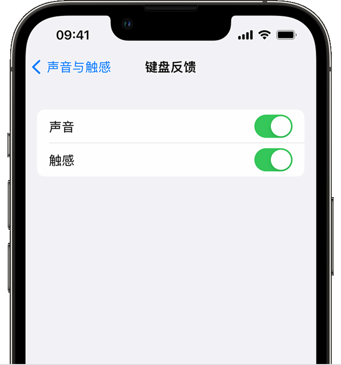 蒙城苹果14维修店分享如何在 iPhone 14 机型中使用触感键盘 