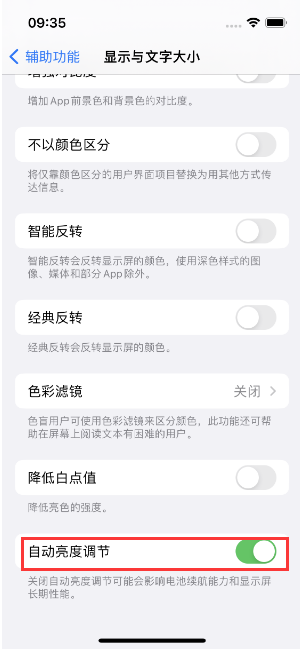 蒙城苹果15维修店分享iPhone 15 Pro系列屏幕亮度 