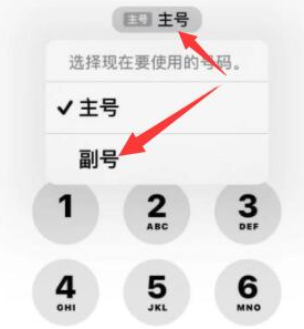 蒙城苹果14维修店分享iPhone 14 Pro Max使用副卡打电话的方法 