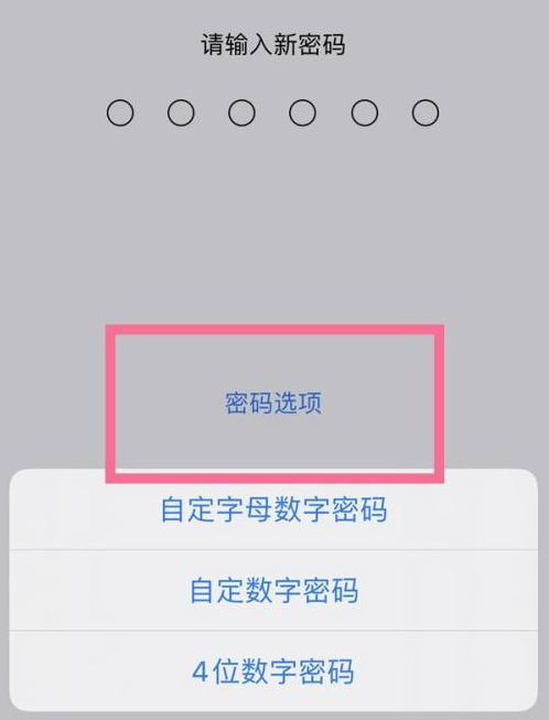 蒙城苹果14维修分享iPhone 14plus设置密码的方法 