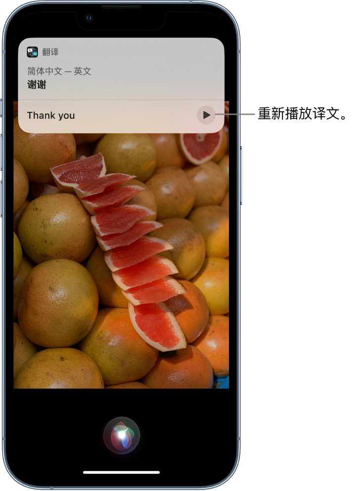 蒙城苹果14维修分享 iPhone 14 机型中使用 Siri：了解 Siri 能帮你做什么 