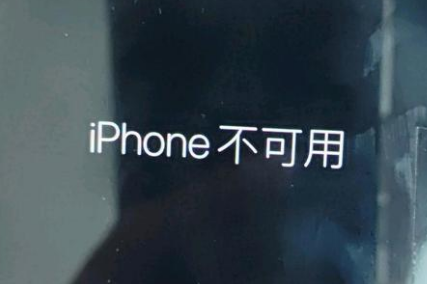 蒙城苹果服务网点分享锁屏界面显示“iPhone 不可用”如何解决 