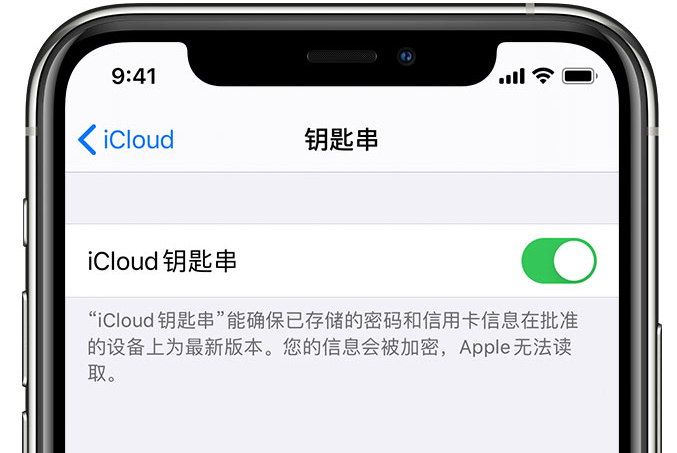 蒙城苹果手机维修分享在 iPhone 上开启 iCloud 钥匙串之后会储存哪些信息 