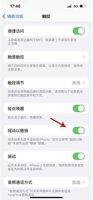 蒙城苹果手机维修分享iPhone手机如何设置摇一摇删除文字 