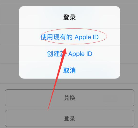 蒙城苹果手机维修分享两台iPhone设备可以同时登录一个Apple ID吗 