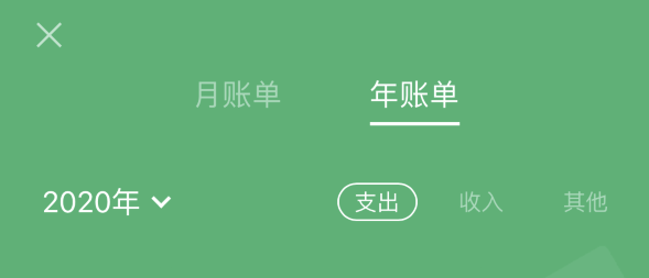 蒙城苹果手机维修分享如何在 iPhone 上查看支付宝和微信年支出账单 