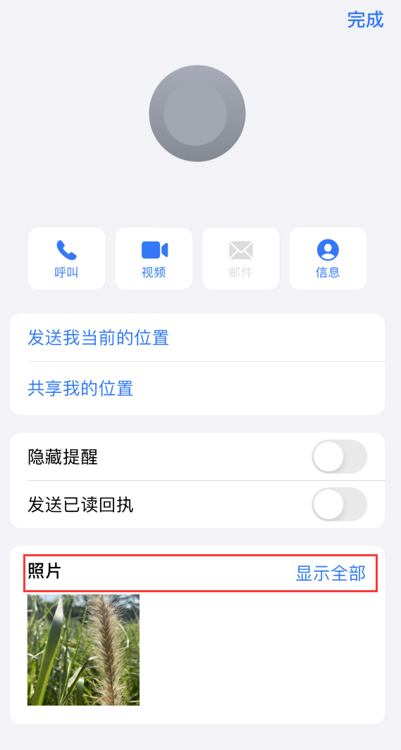 蒙城苹果手机维修分享如何快速查找 iMessage 信息中的图片等附件 